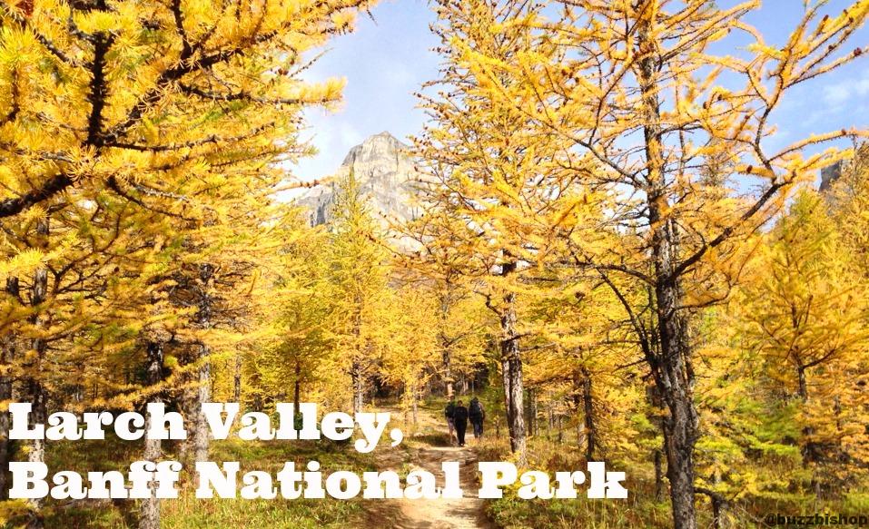 Larch Valley, Banff National Park - Buzz Bishop