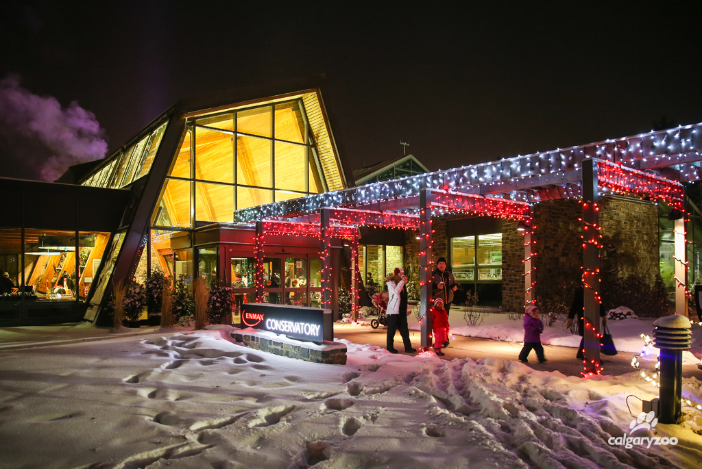 Image: The Calgary Zoo