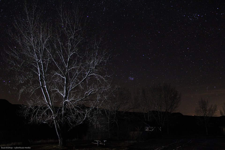 Starland County, Alberta - Buzz Bishop