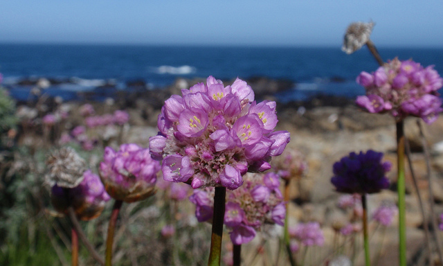 rv campign west coast