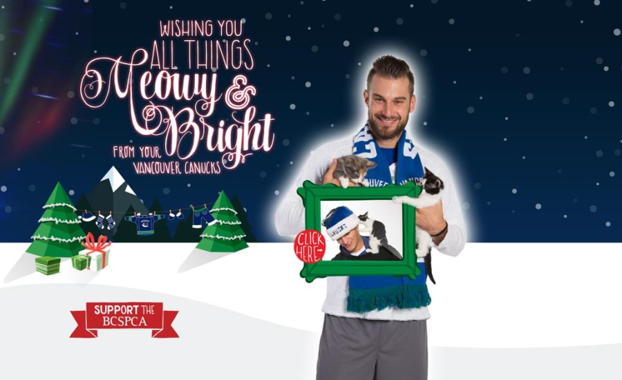 The Vancouver Canucks 2014 Christmas card features its most popular players cuddling cats. (Canucks)