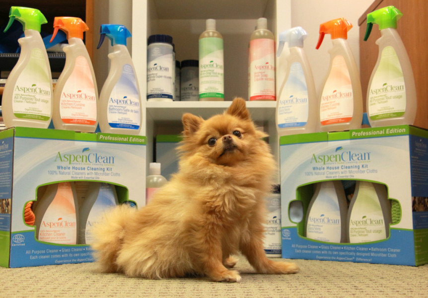 An adorable pup surrounded by AspenClean's colour-coded cleaning system. (AspenClean)