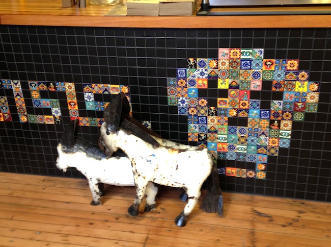 We were assured these donkeys were already a couple (Lindsay William-Ross/Vancity Buzz)