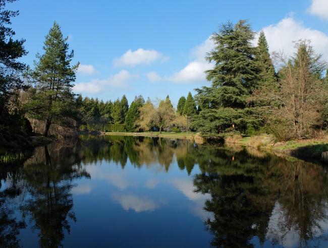 Vancity Buzz - Heron Lake Image