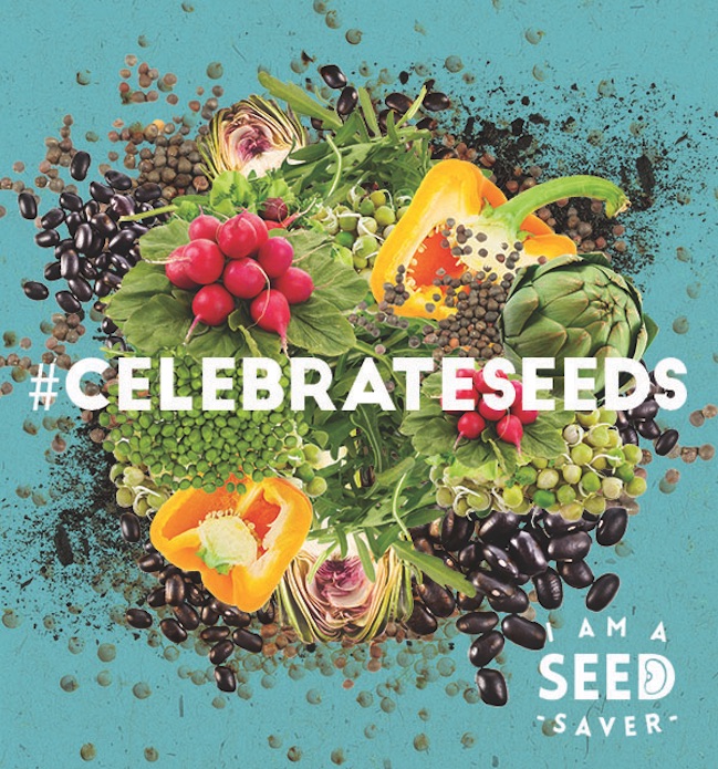 Image courtesy Celebrate Seeds