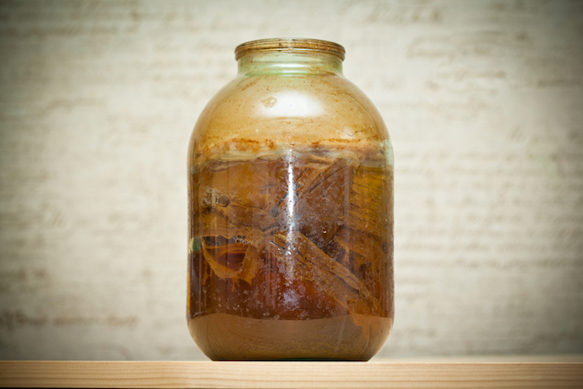 Kombucha/Shutterstock