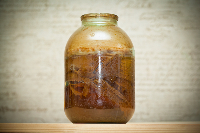 Kombucha/Shutterstock 