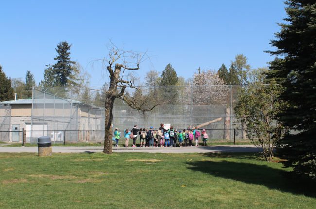 Educational tours at the zoo (Image: Nicolle Hodges)