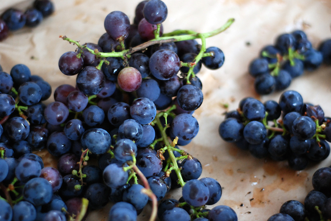 Grapes at the West End Farmers' Market (Stephanie Vacher/Flickr)