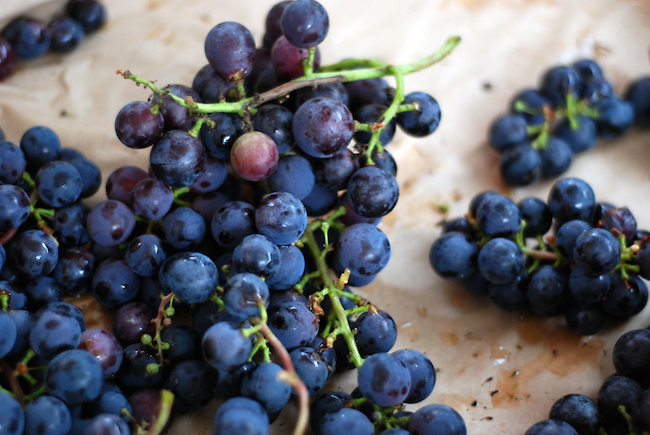 Grapes at the West End Farmers' Market (Stephanie Vacher/Flickr) 