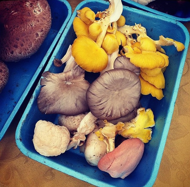 Mushrooms at the Kerrisdale Farmers' Market (Lindsay William-Ross/Vancity Buzz)