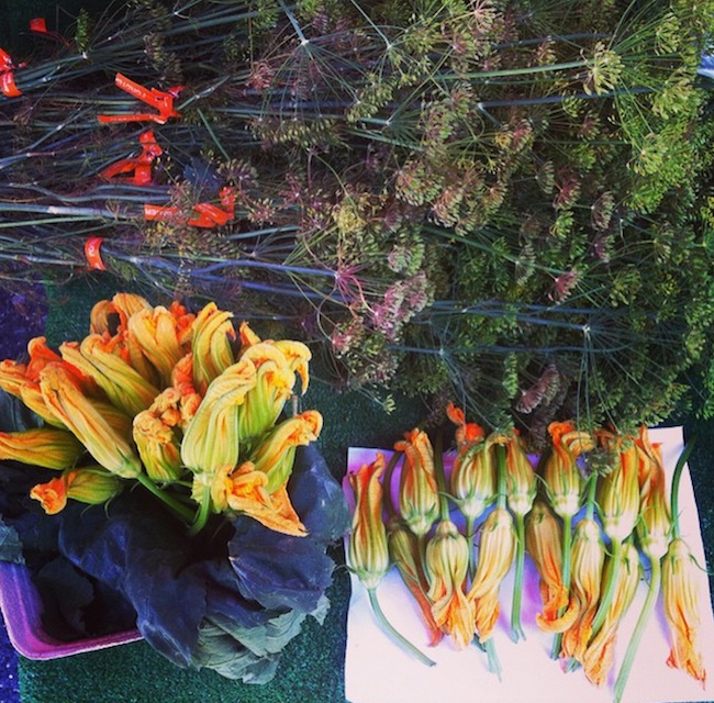 Zucchini and dill at the Oak Street Farmers' Market (@oakstreetmarket/Instagram)