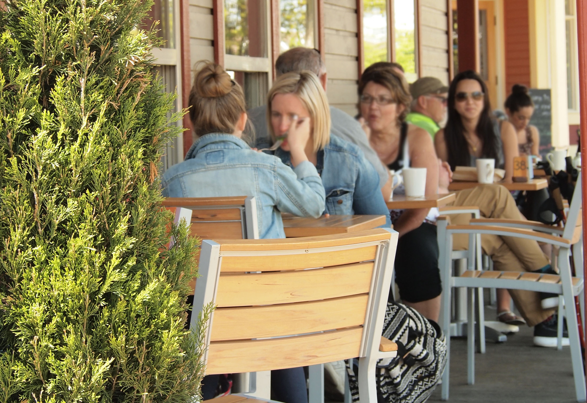 Image: Wendel's Bookstore & Cafe