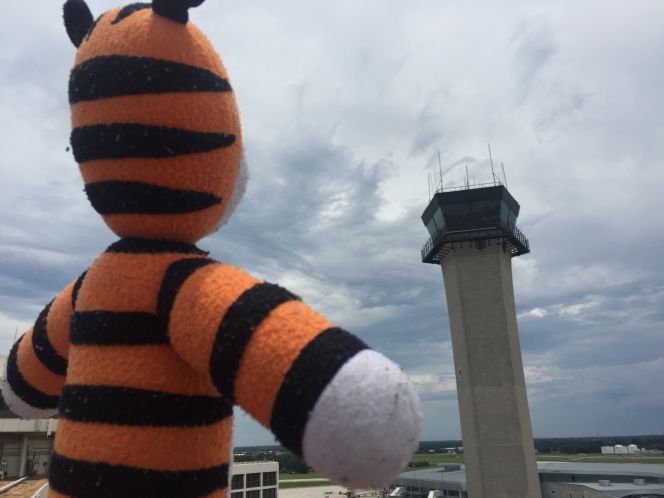 Image: Tampa International Airport