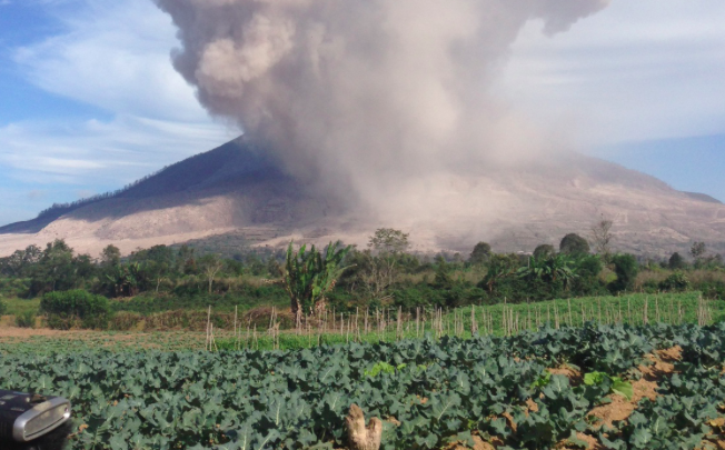 Image: Stefanie Dekker/Al Jazeera