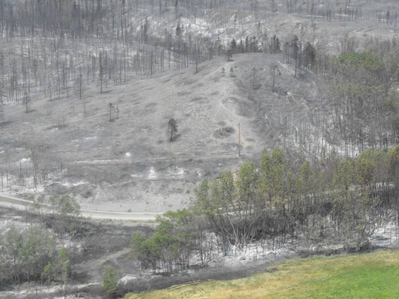 Cariboo Regional District Puntzi Lake Fire