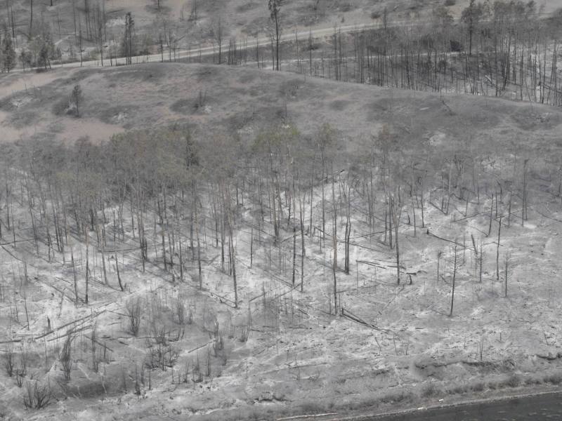 Cariboo Regional District Puntzi Lake Fire
