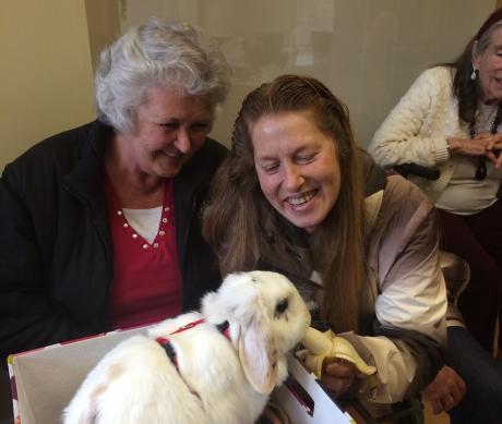 Ana working as a therapy pet at a seniors home (BaptistHousing.org)