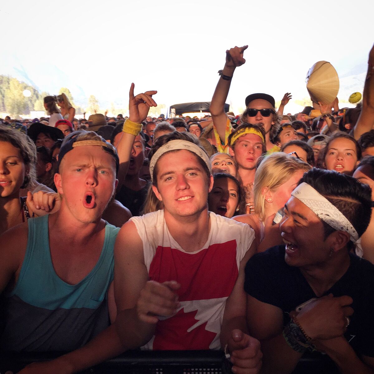 Pemberton Music Festival crowds 2