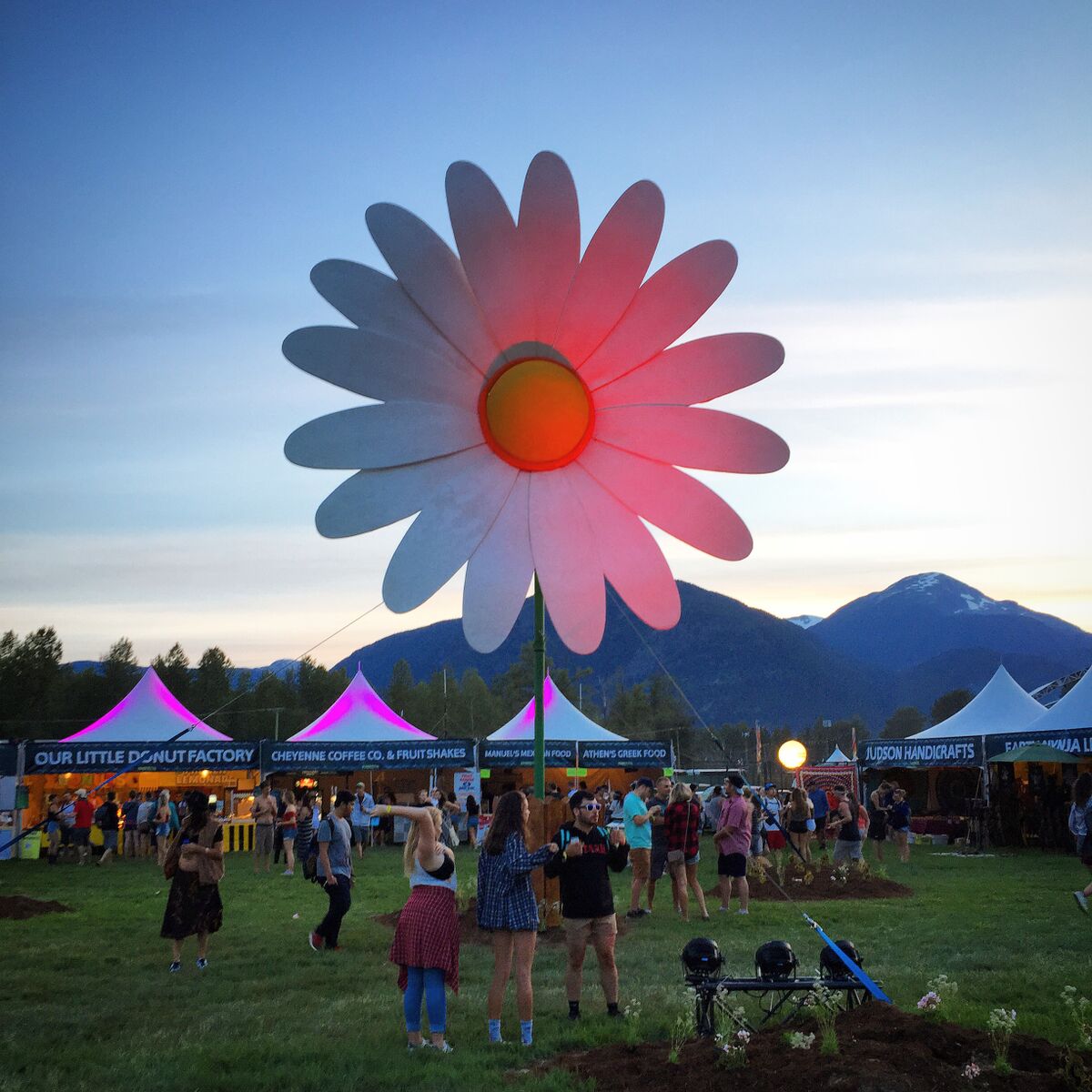 Pemberton Music Festival flower