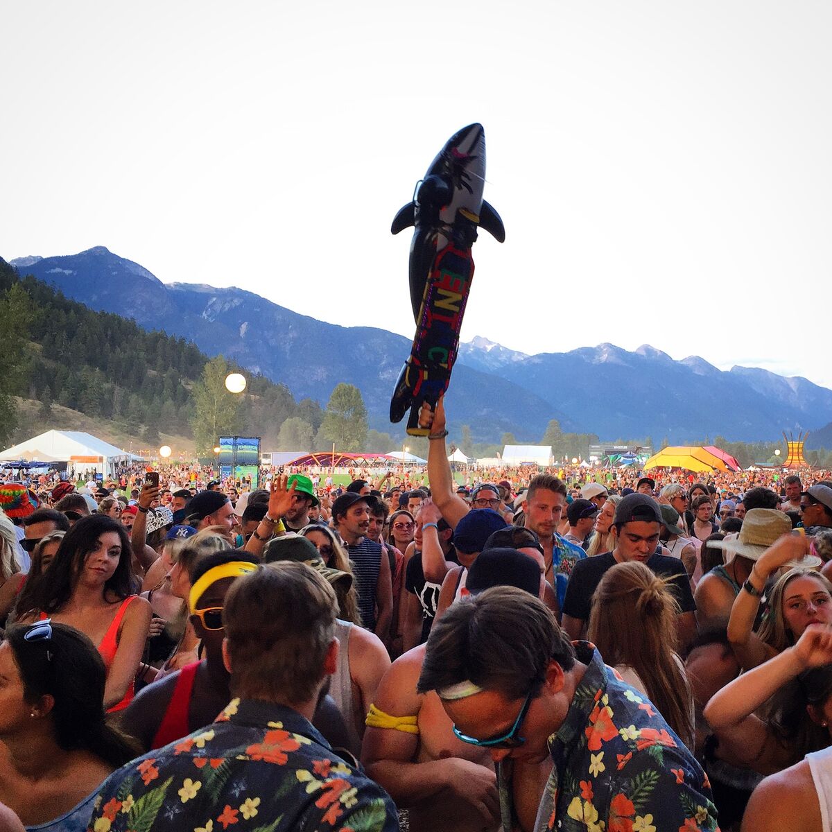 Pemberton Musical Festival 2015 photos