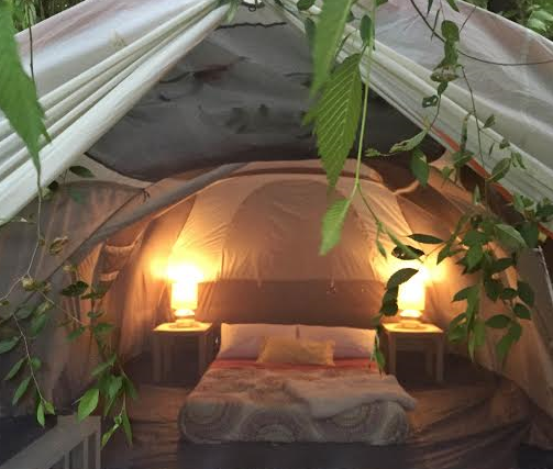 Image credit: Serenity Stay Bed & Breakfast