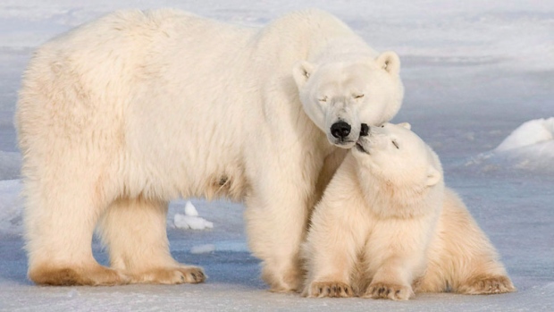 Image: Jonathan Hayward / THE CANADIAN PRESS