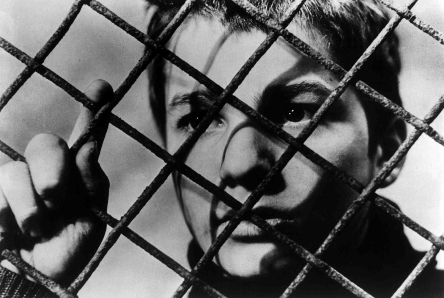 vcbuzz-truffaut