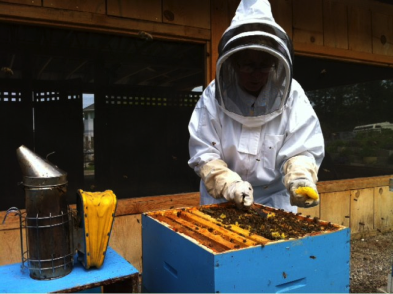 Tourism Kelowna - Honey Farm