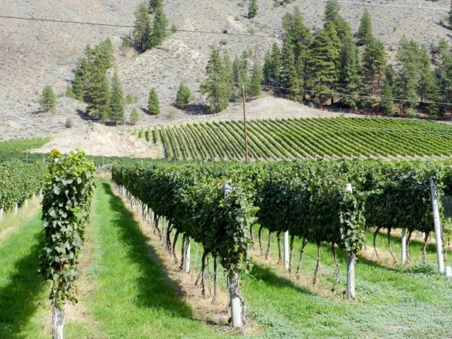 Seven Stones Winery in Similkameen River Valley (Seven Stones)