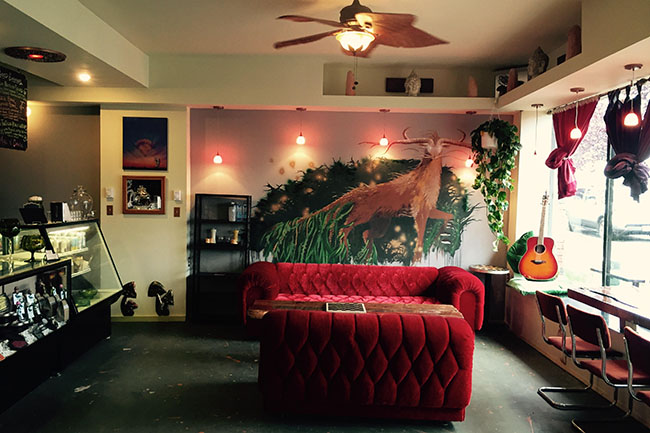 The_Jaxx_Interior