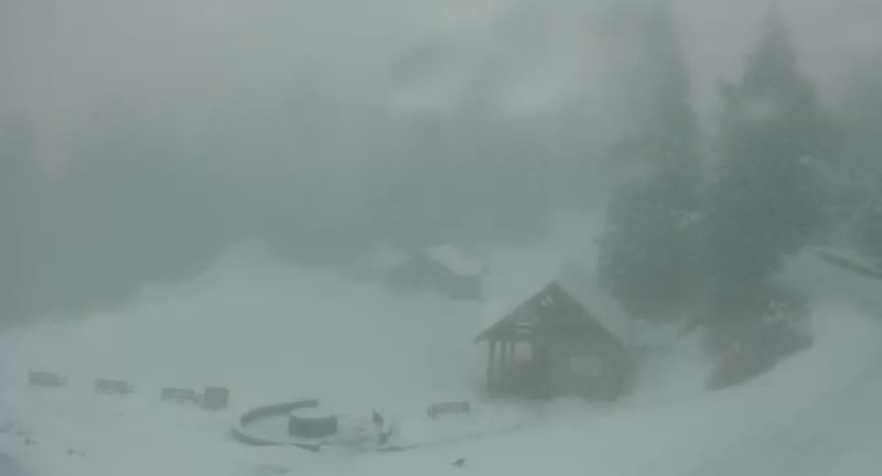 Image: Grouse Mountain webcam