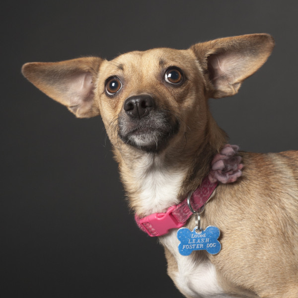 Annie, Courtesy Tanya King Photography