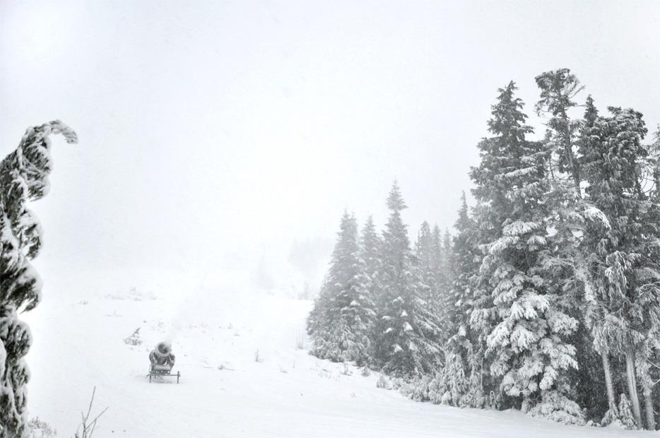 Image: Cypress Mountain