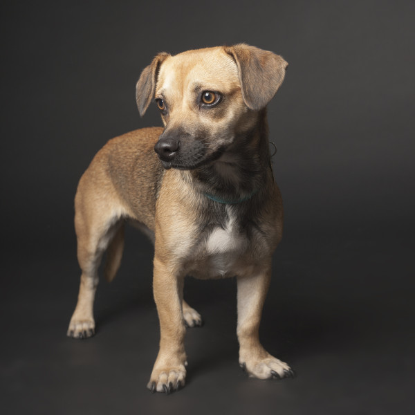 Hallie, courtesy Tanya King Photography