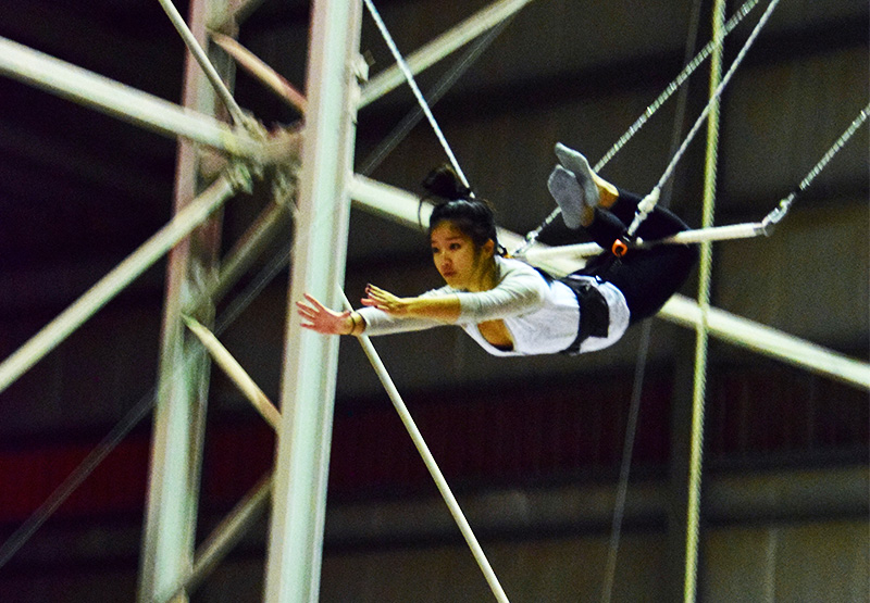 Image: Flying circus trapeze art