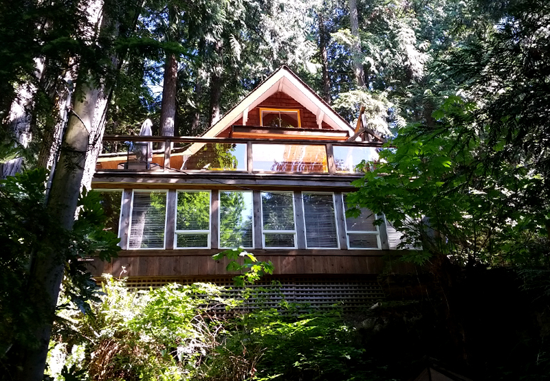Treehouse Cottage / Social Shopper