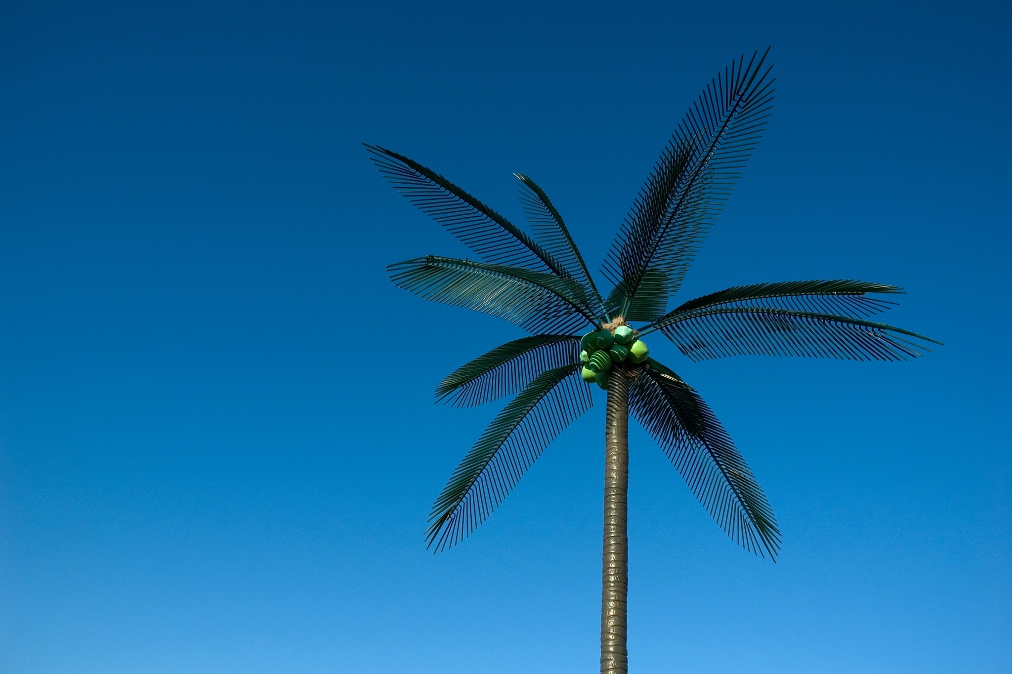 fake plastic trees / Image: Capture Photography Festival