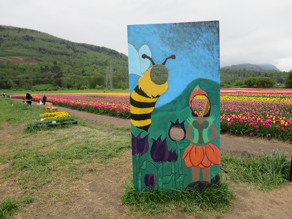 Image: Kenneth Chan / Vancity Buzz