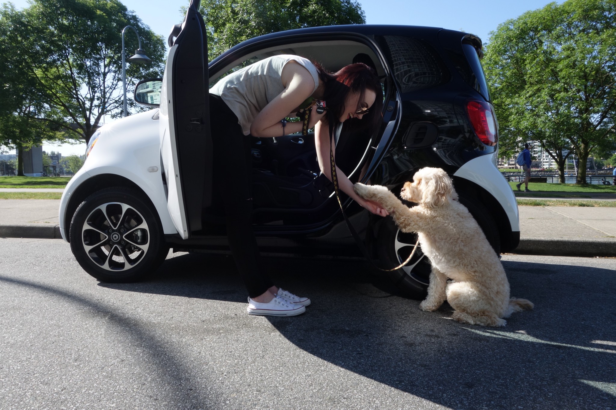 Mercedes 2016 Smart Fortwo / Sebastiaan Chia