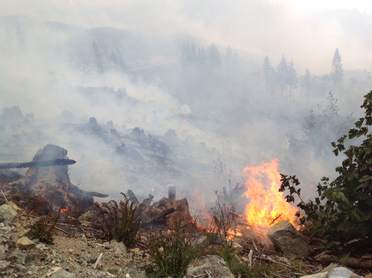 The Lizard Lake wildfire on Vancouver Island last year was believed to be human caused (BCWildfire.ca)