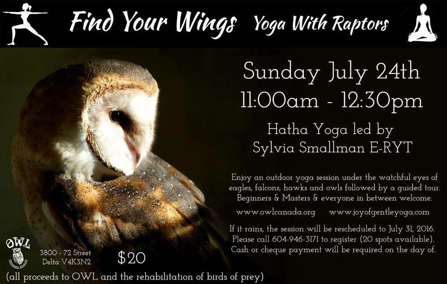The poster for O.W.L.'s special yoga fundraiser (O.W.L)