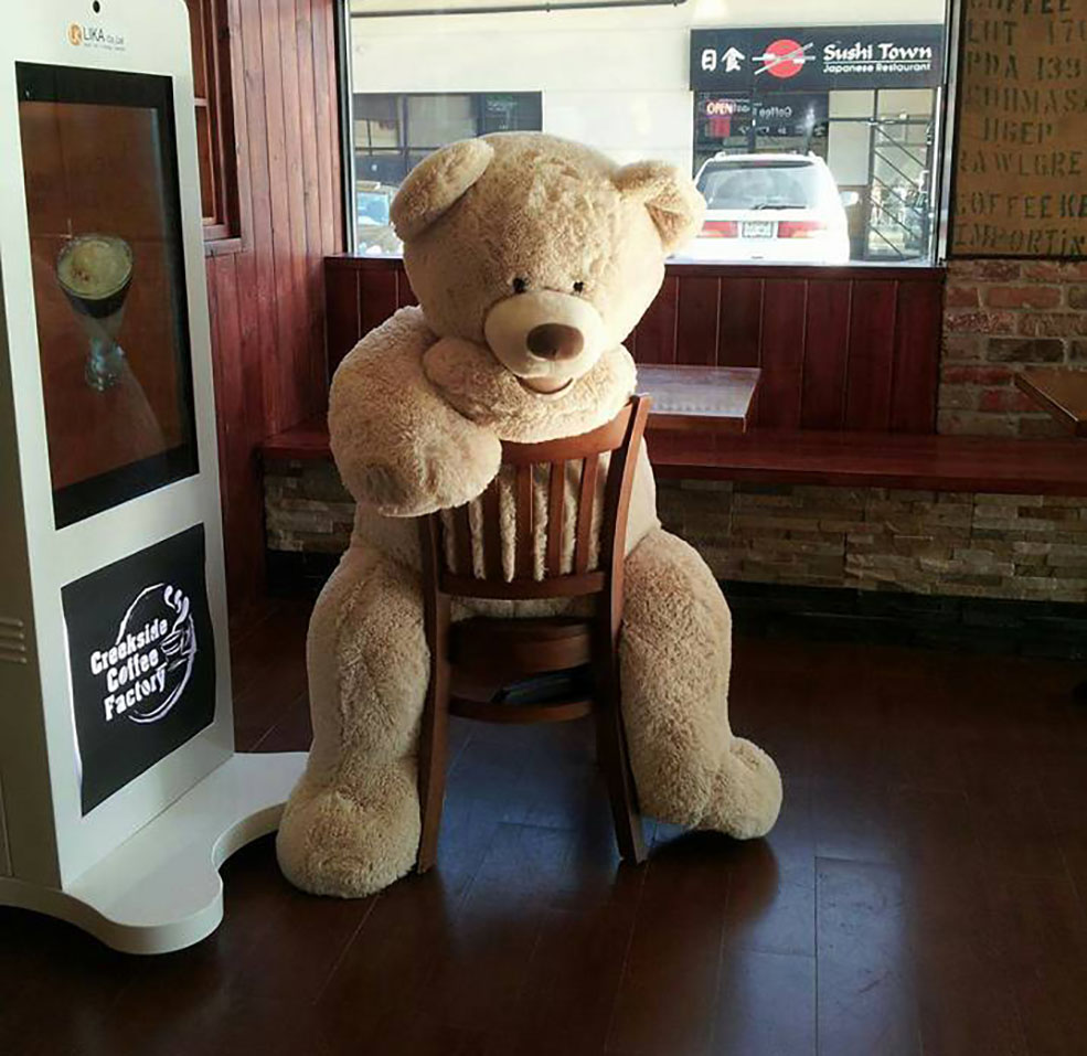Teddy bear Bearamel Macchiato loved to hang around in the coffee shop (Facebook)