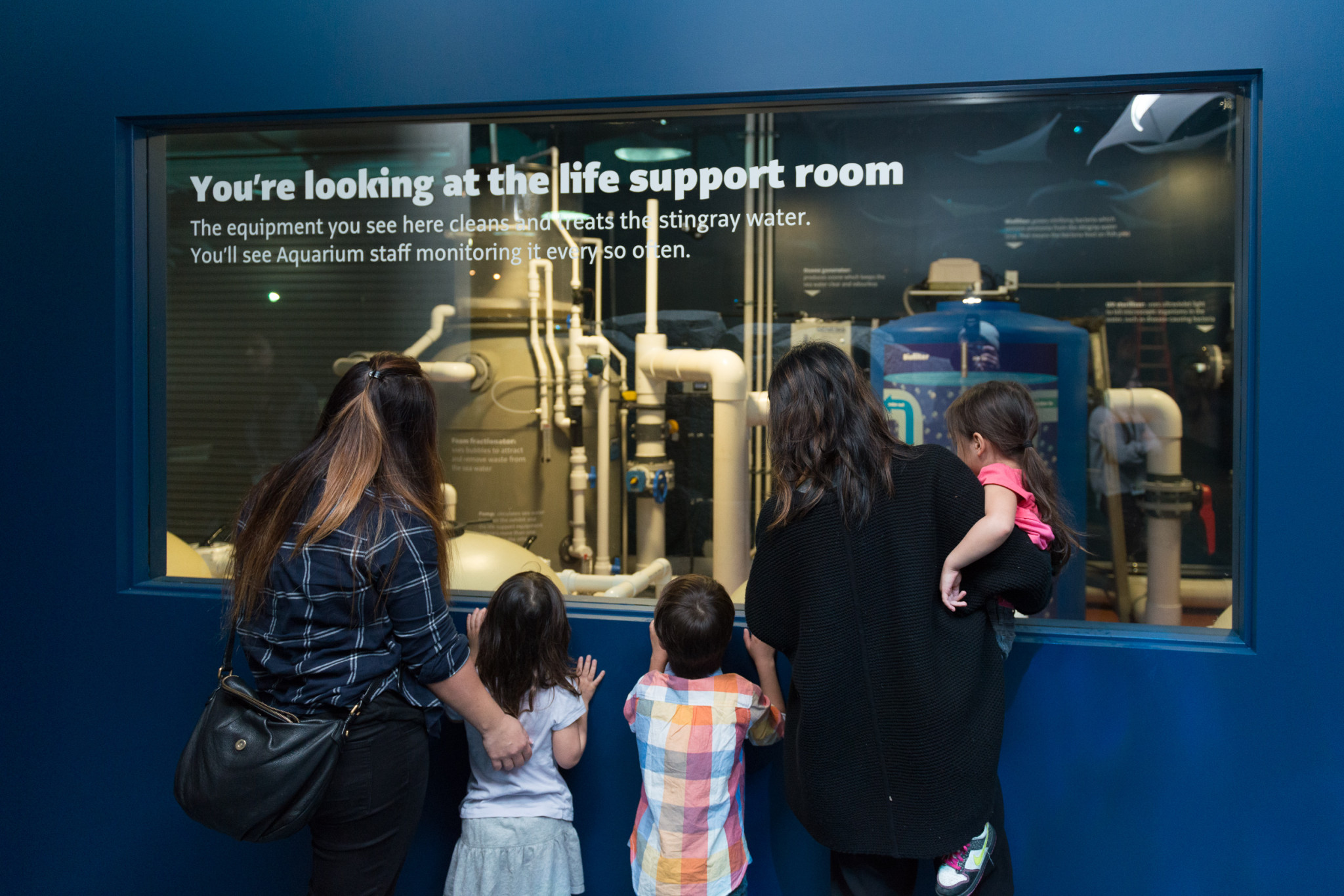 Image: Vancouver Aquarium