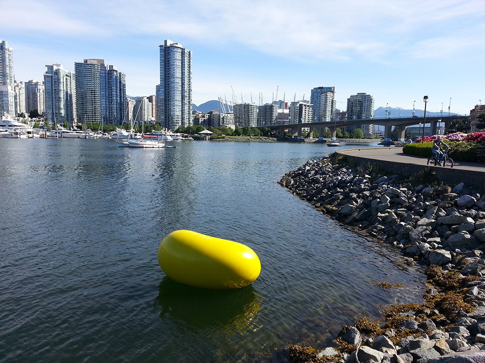 Yellow bean in False Creek (Charlotte Dron)