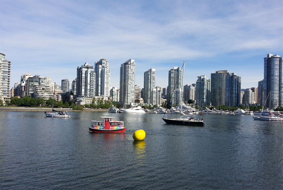 Yellow bean in False Creek (Charlotte Dron)