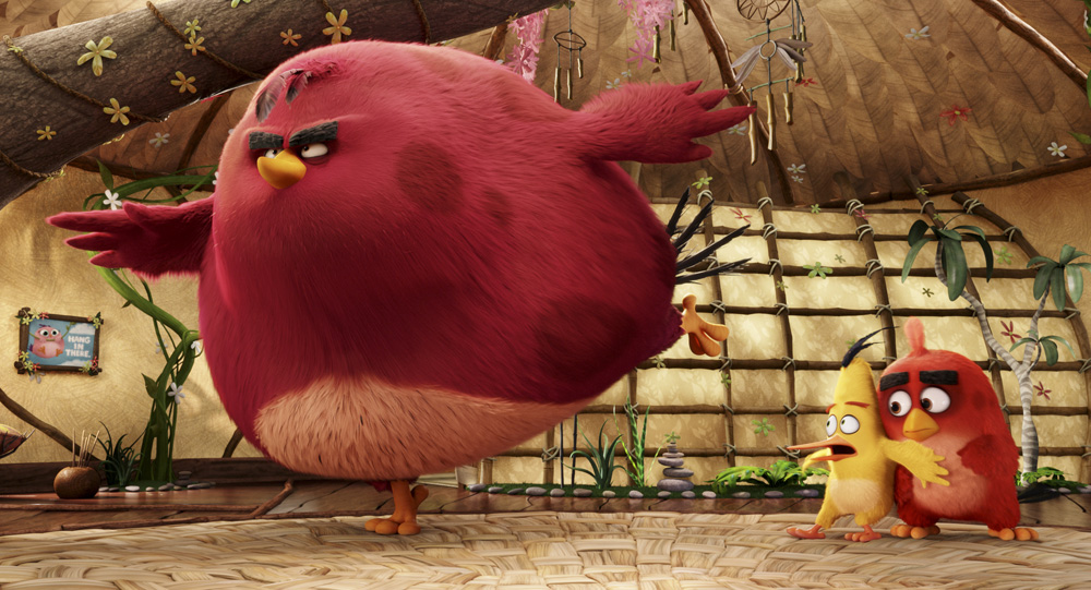 Review - The Angry Birds Movie - Vancity Buzz