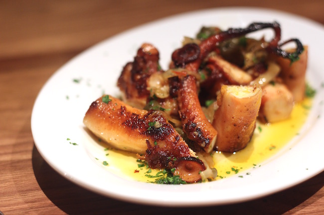 Octopus (Lindsay William-Ross/Vancity Buzz)