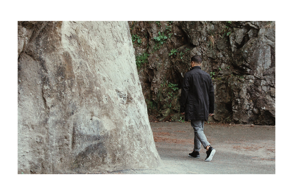 Image: wings+horns